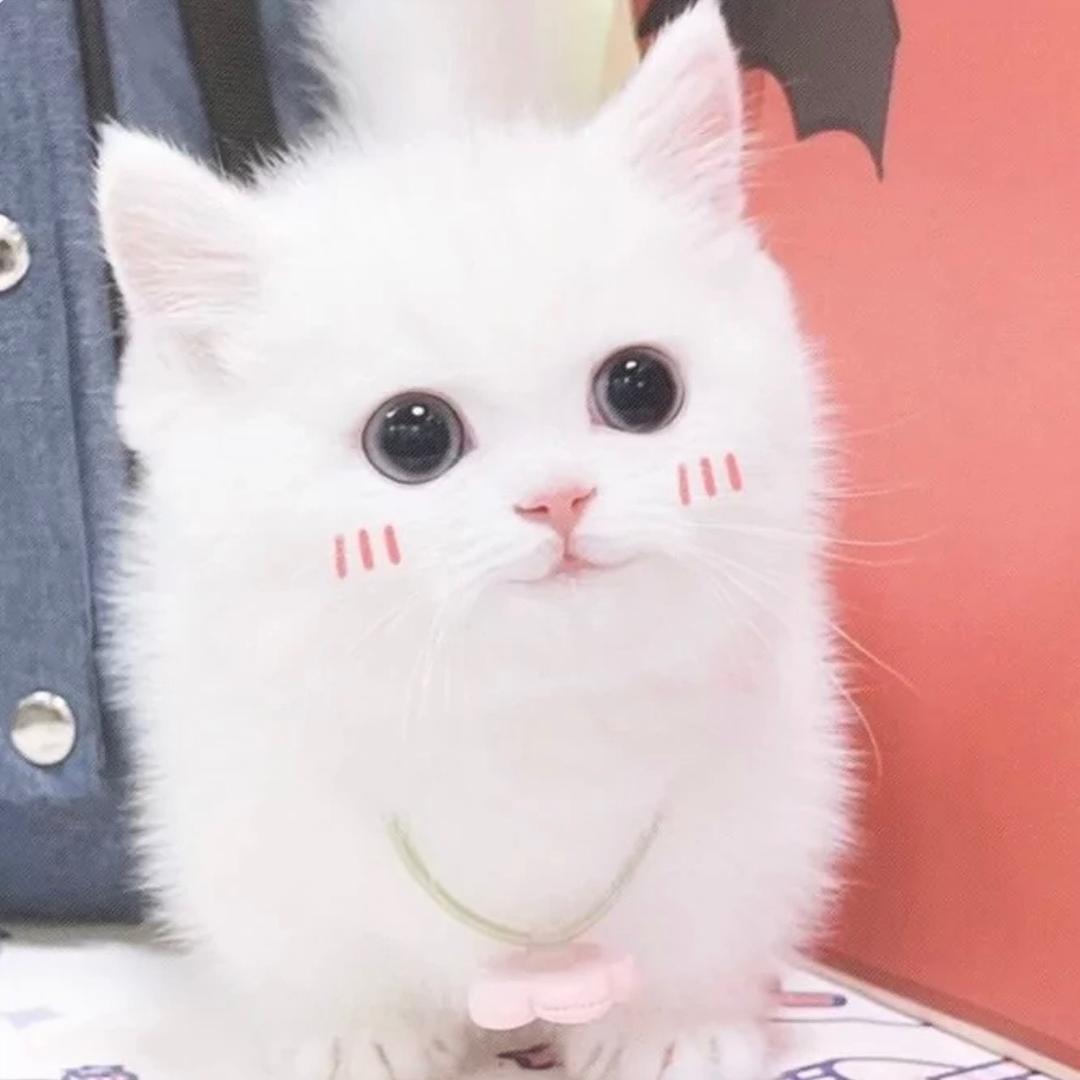 虚无