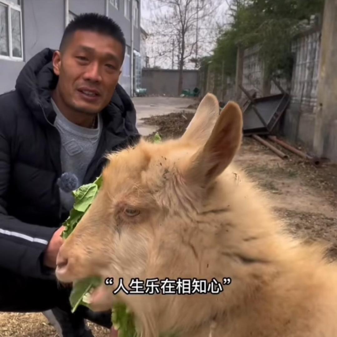 替罪的羊