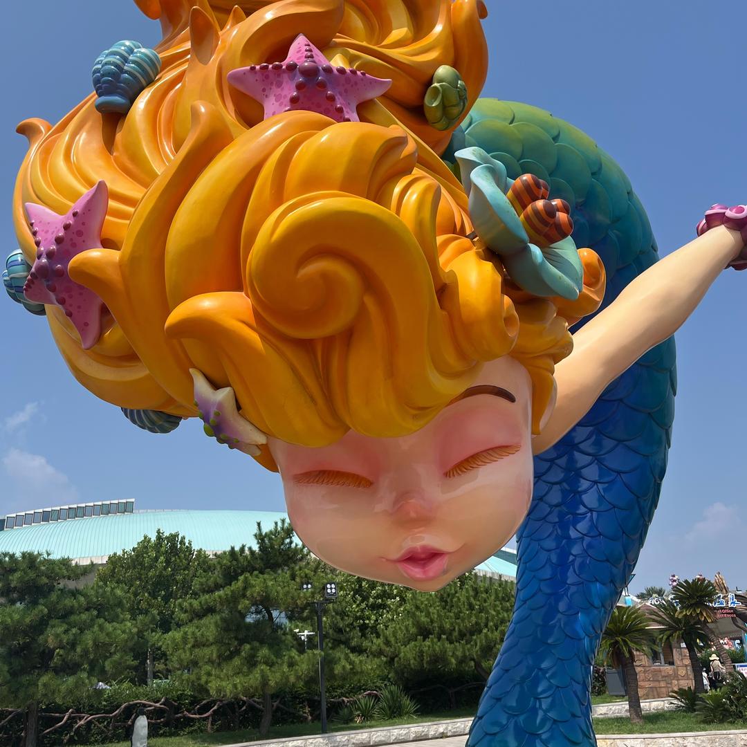 小美美的双面龟