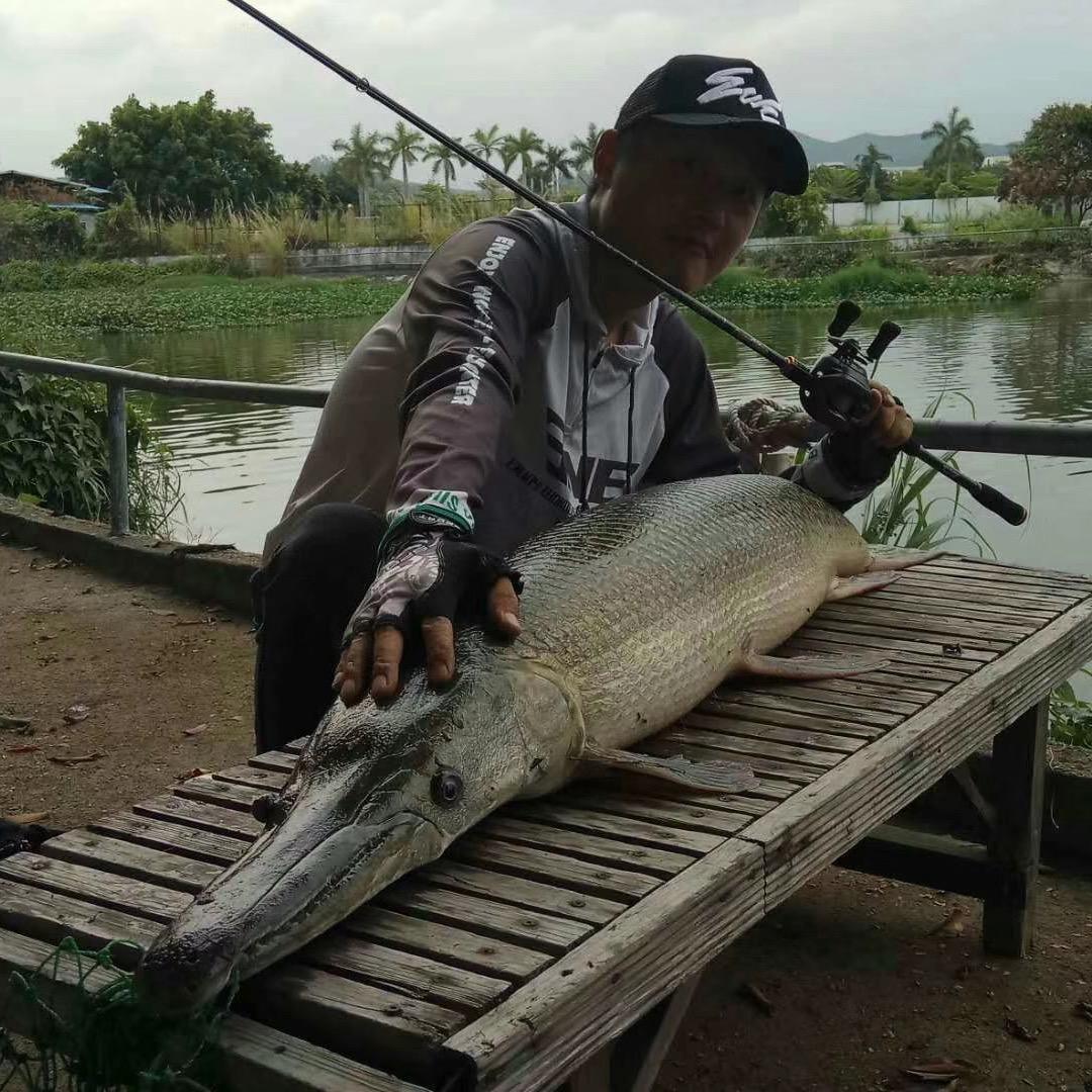 贺六六爱路亚🎣