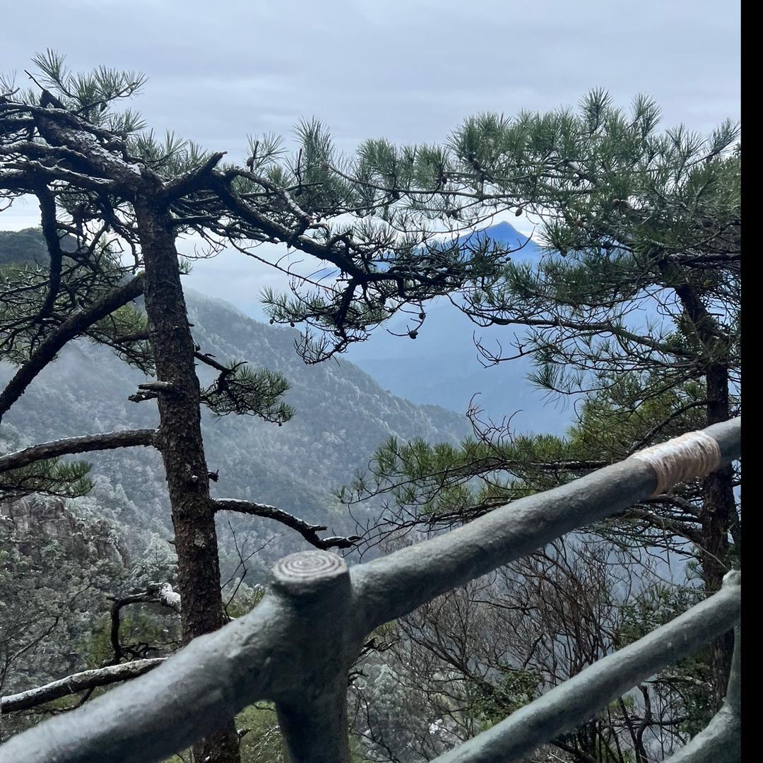 嘉嘉