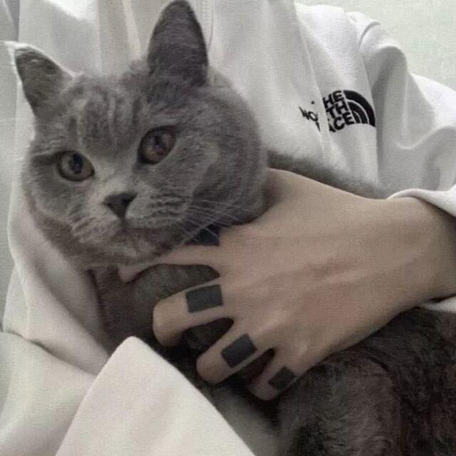 GY-