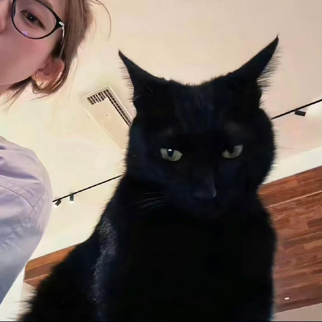 我是一个可爱的小傻子