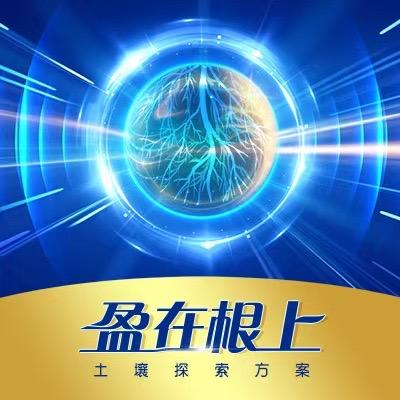 盈在根上-哈密瓜组（盈辉作物科学）