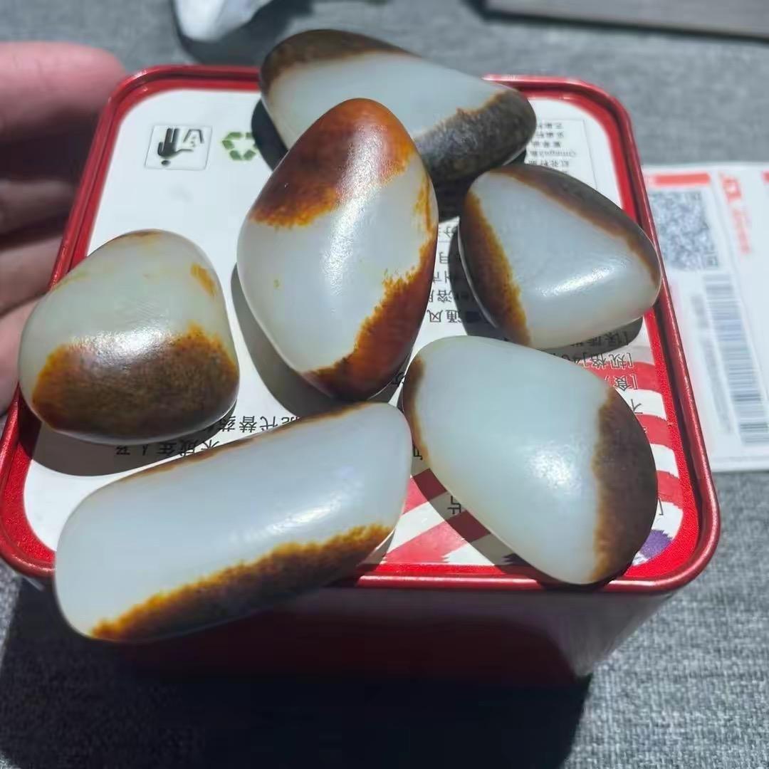 杨阳籽玉101