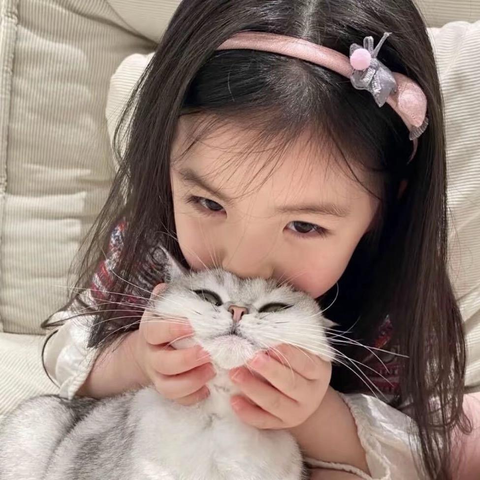 一只猫.
