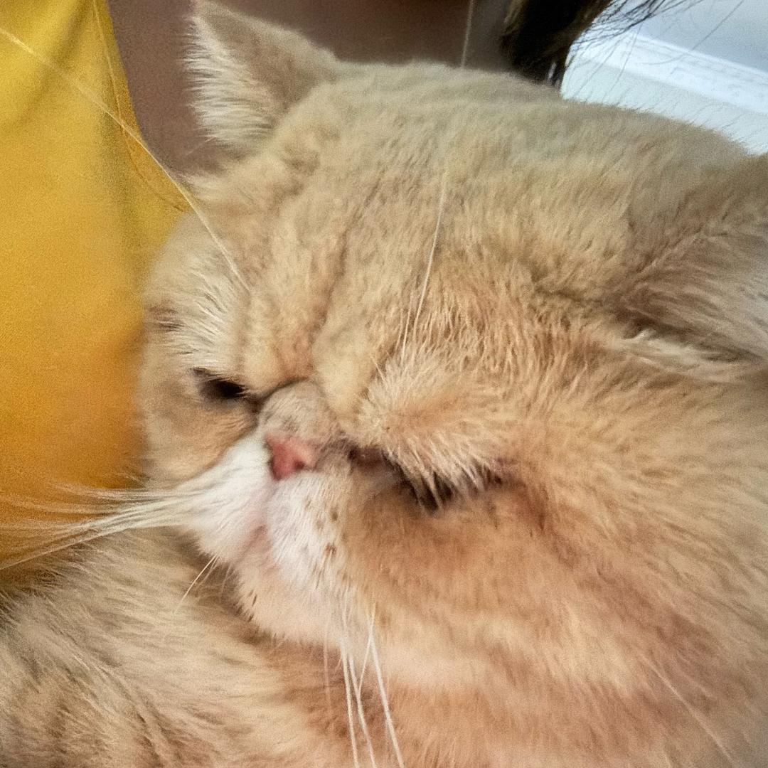 一一✨多喝水