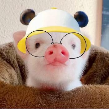 可爱