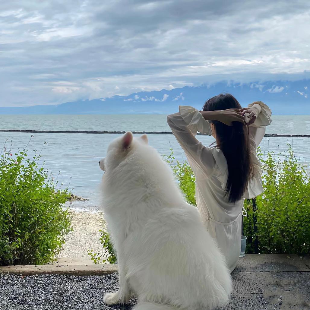 小乖🐰