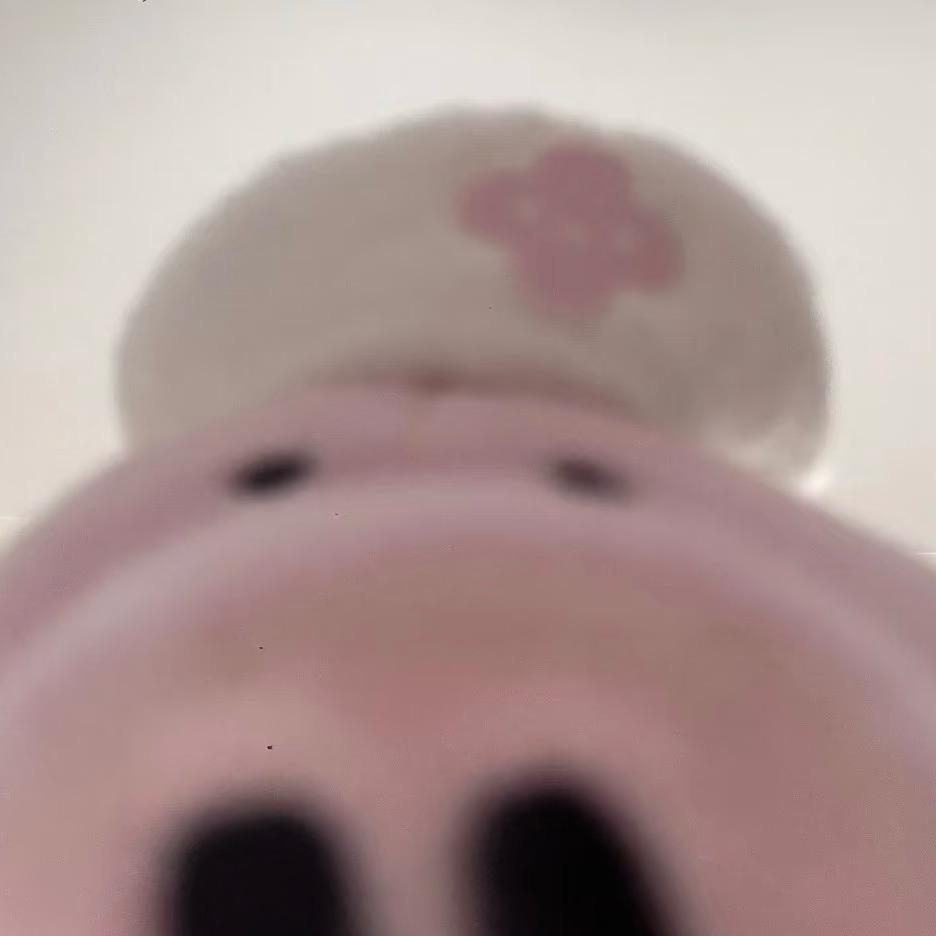 知夏¹⁸