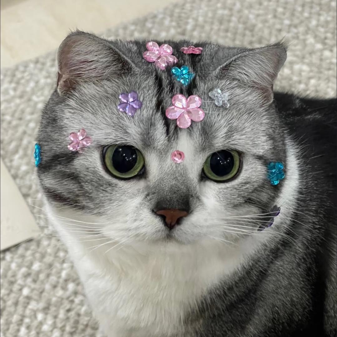饭苞
