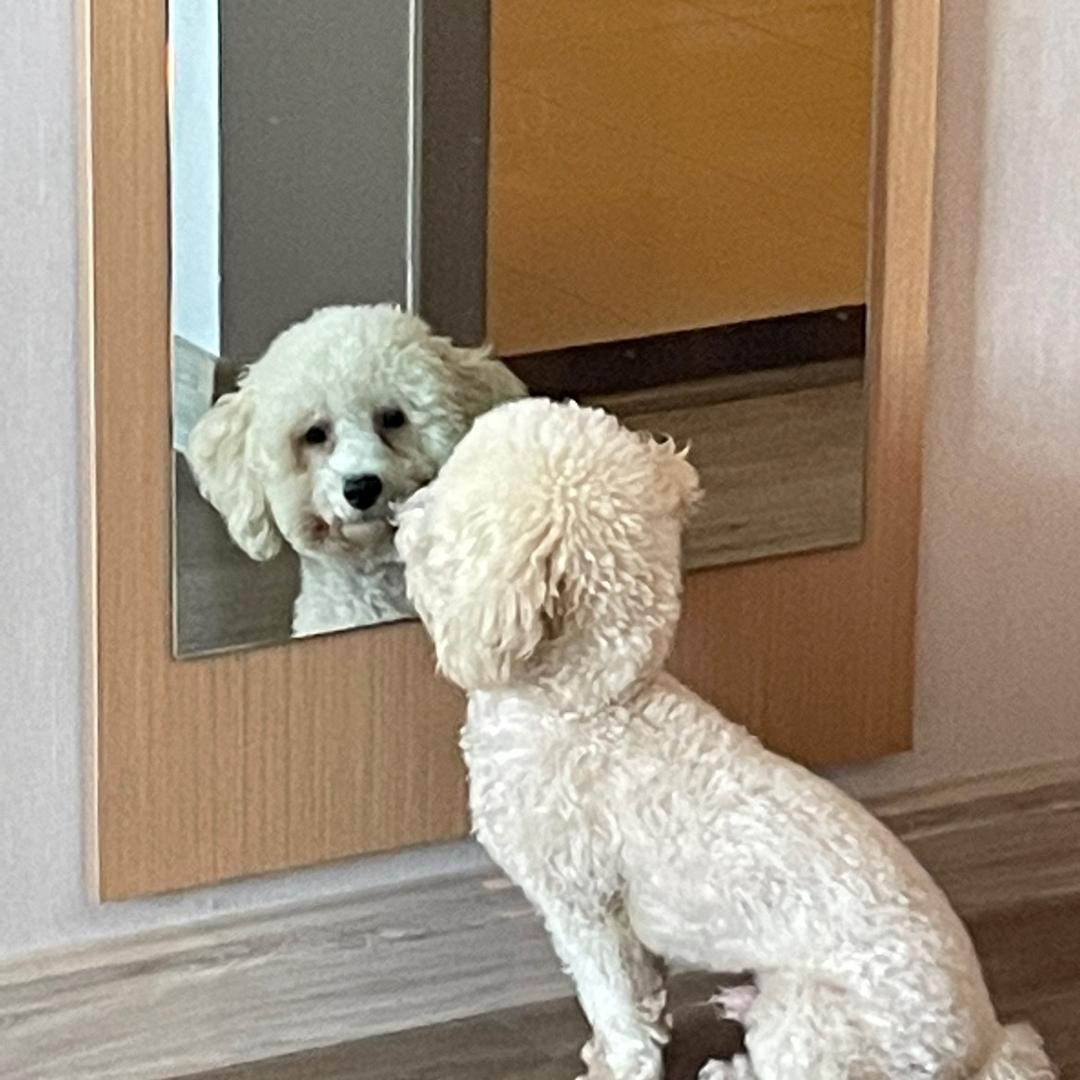 好运常在✨