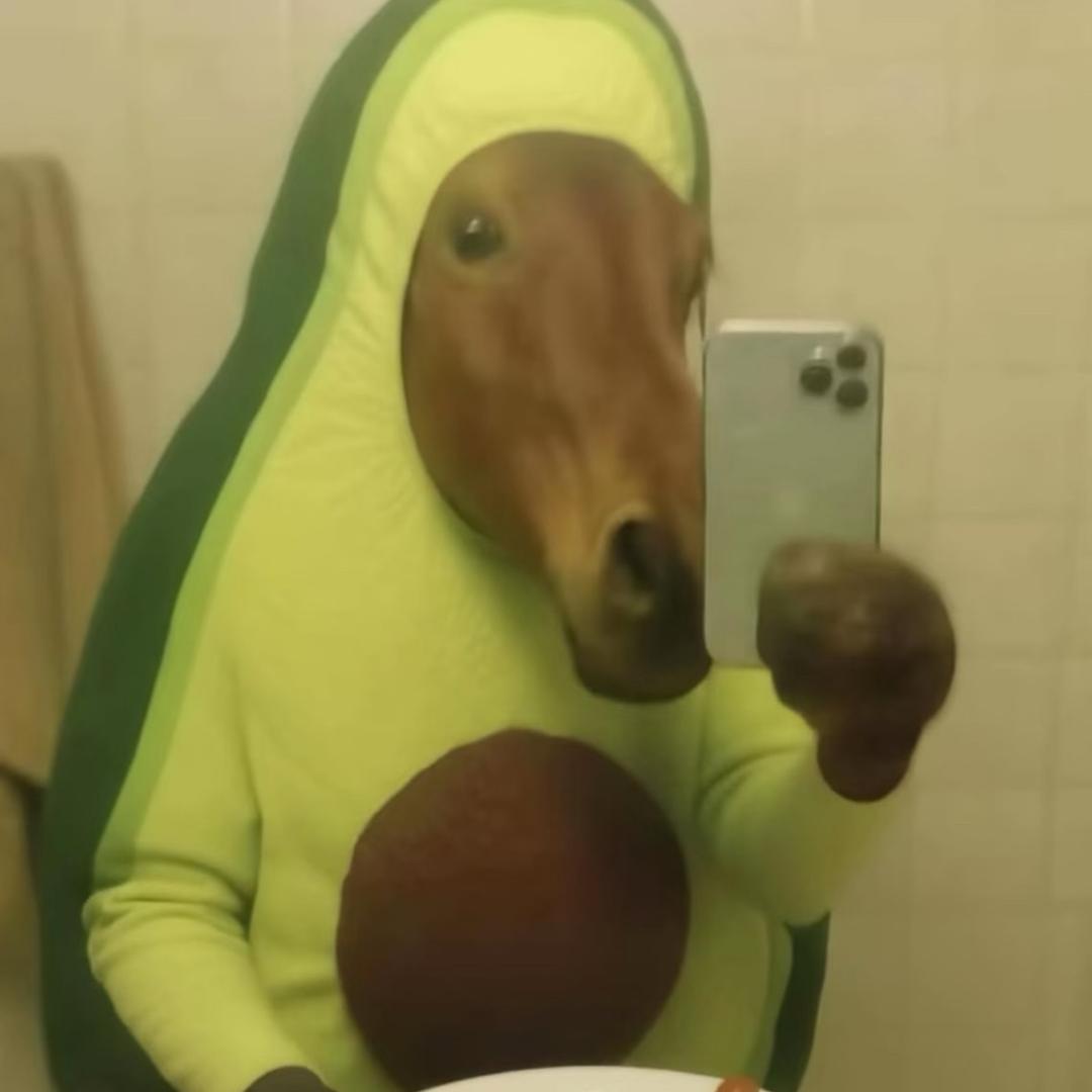 horse咴咴头像
