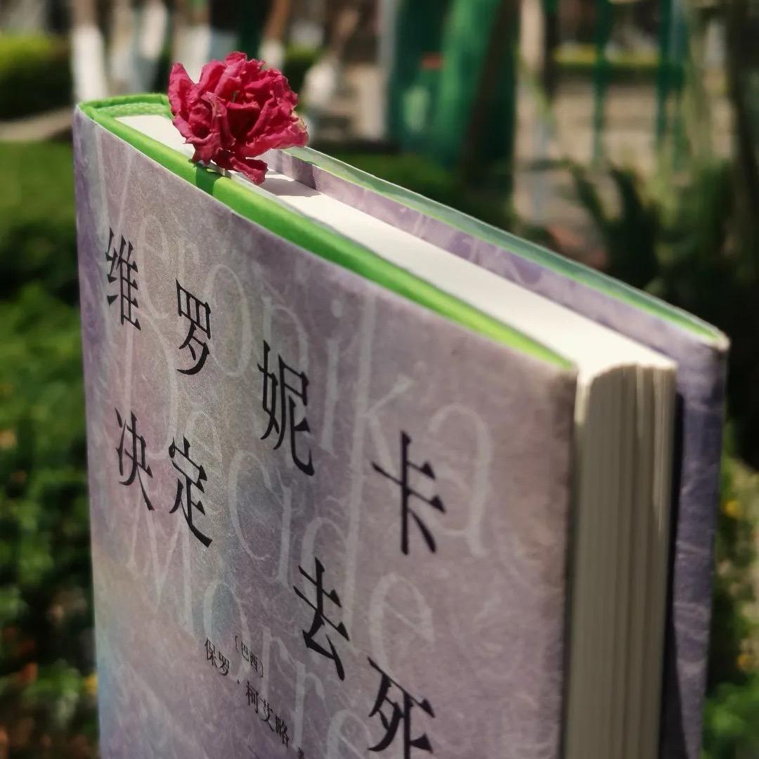 鹿鸣📖