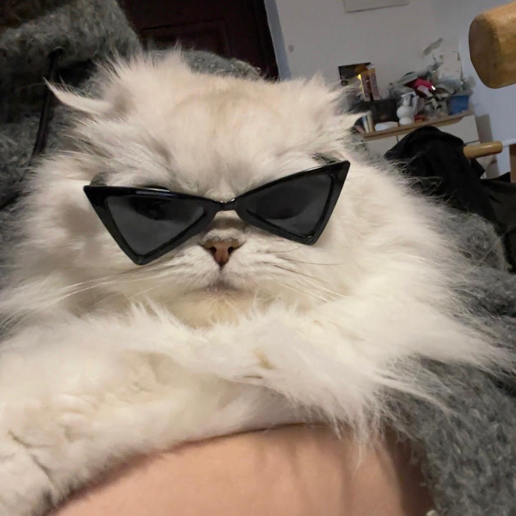 Hey Boy