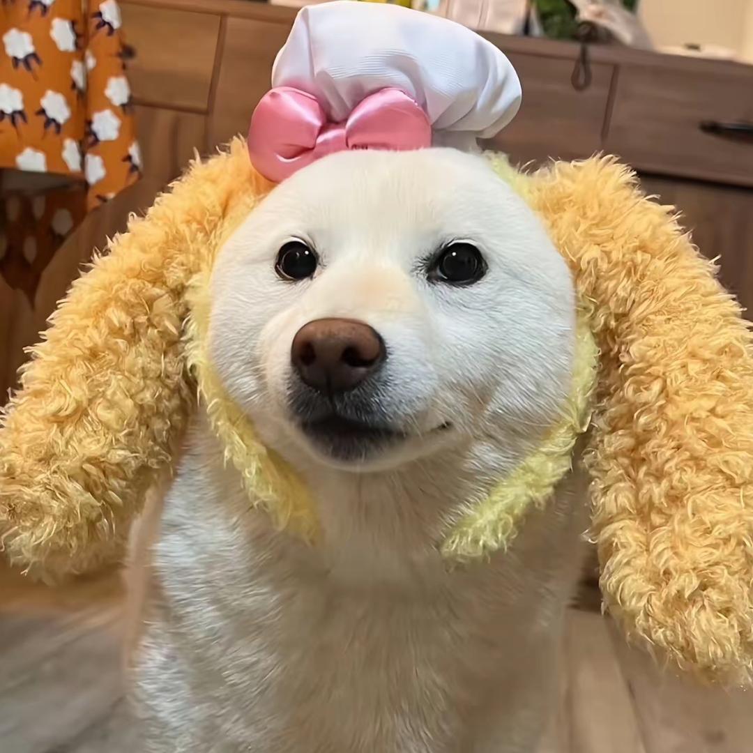 大花拆卡