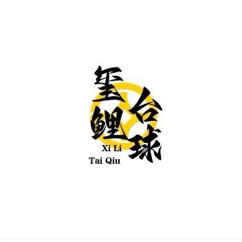 玺鲤台球器材维修