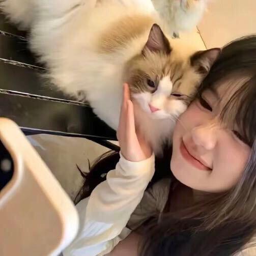 小猫੭🐾