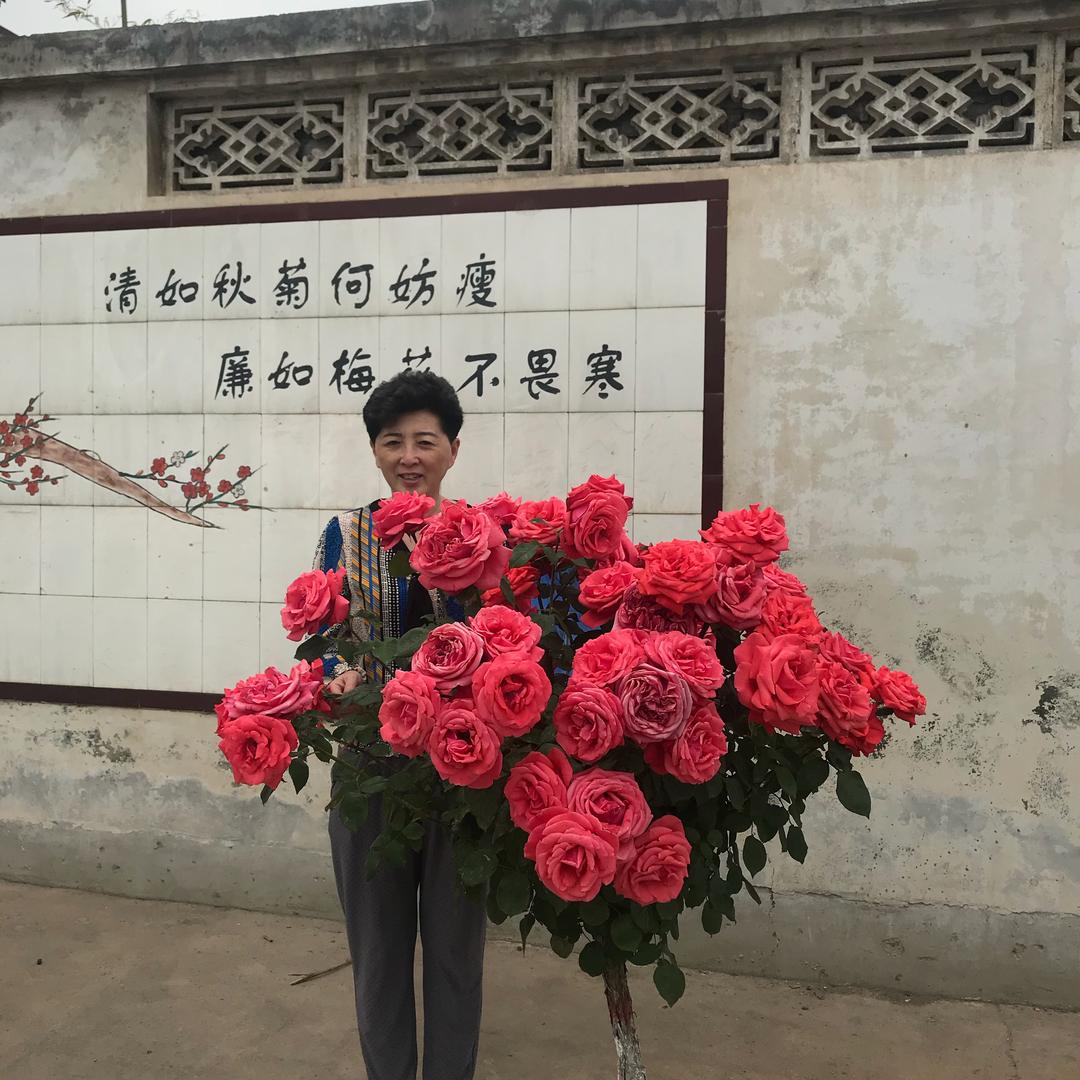 刘换换