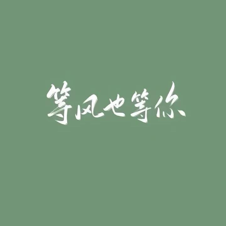 鑫鑫汇贤