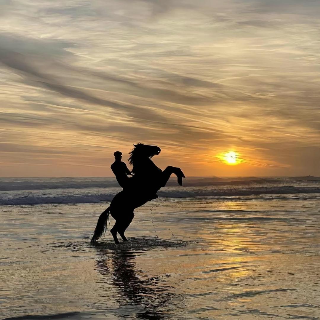 A  做家具的海涛