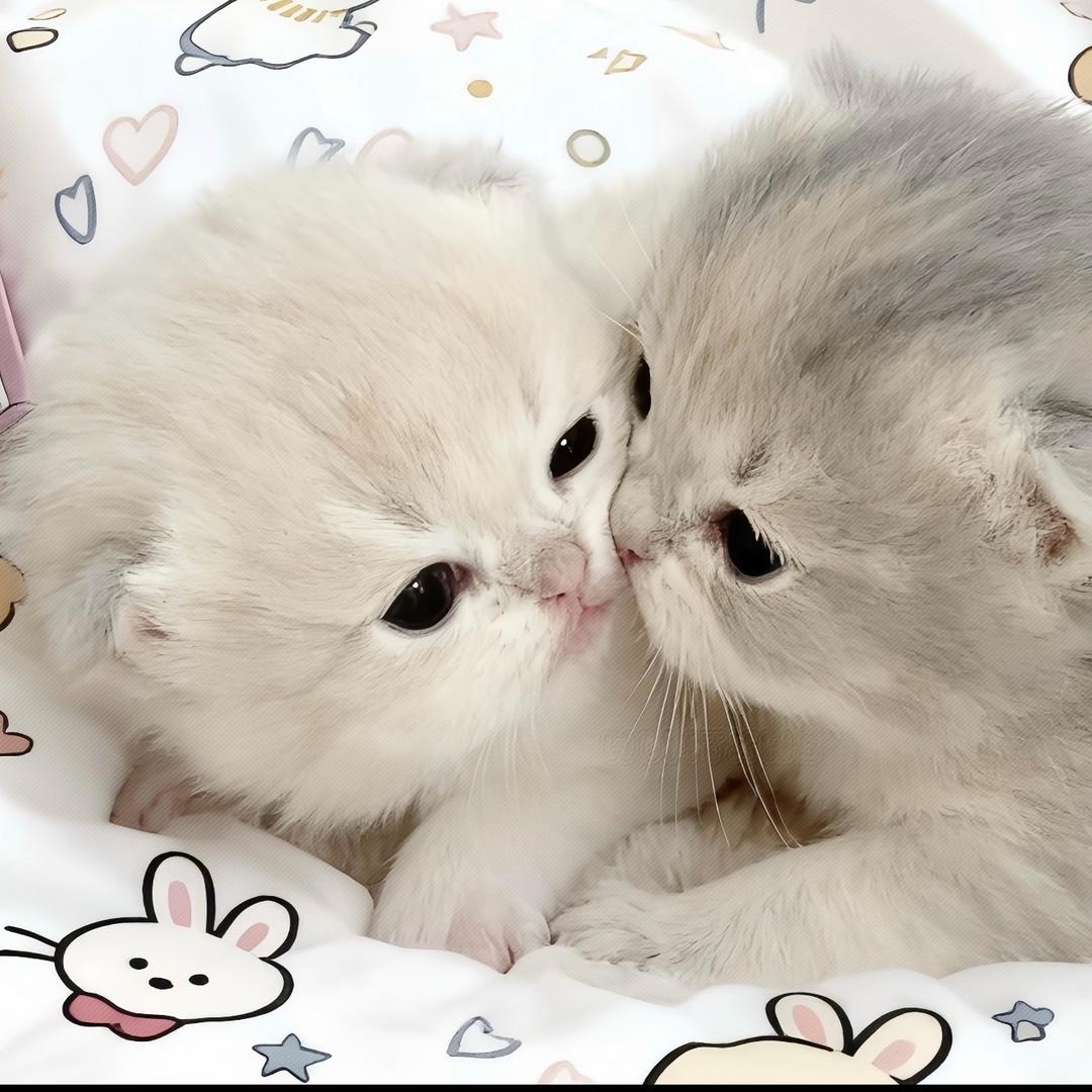 AAA春暖花开