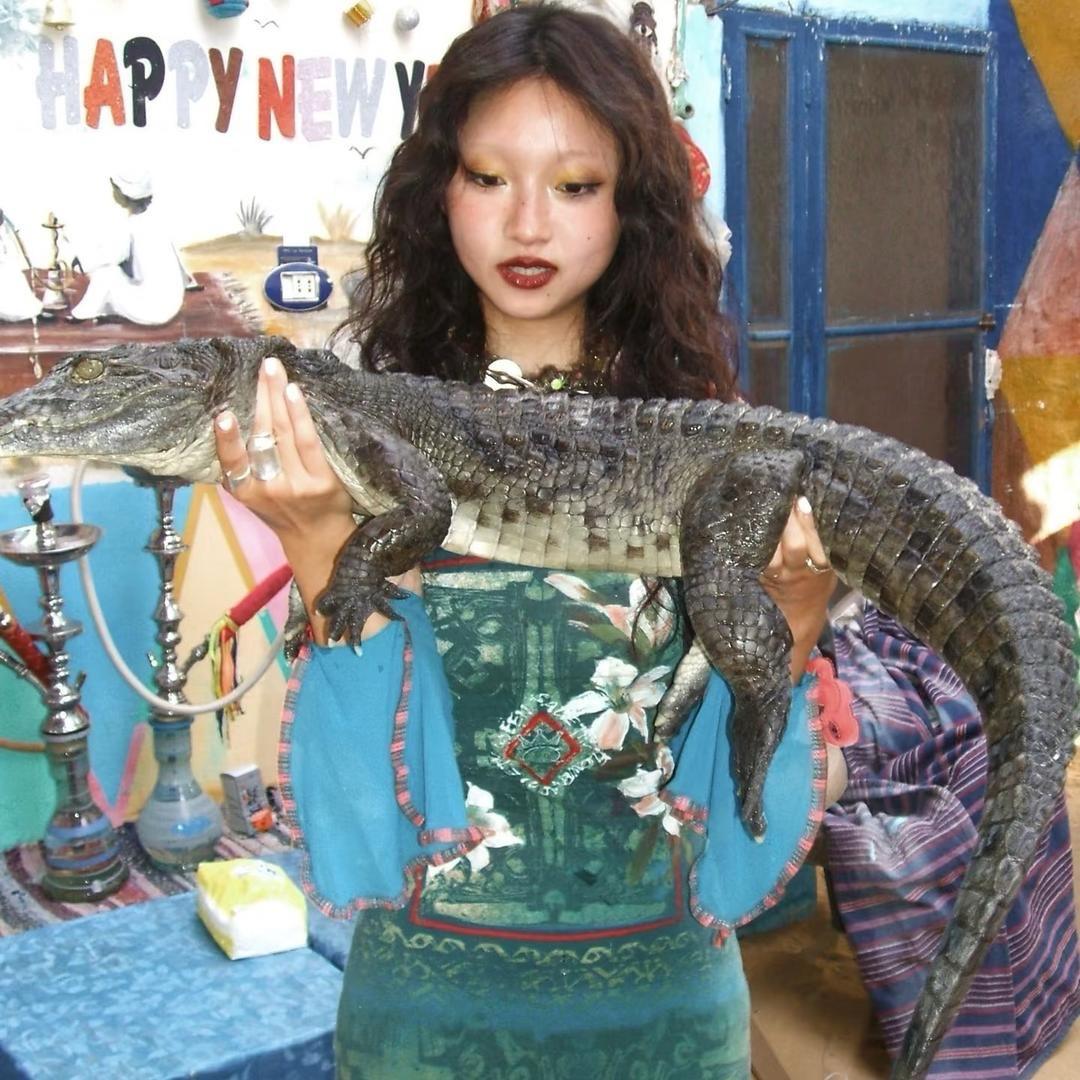 海岛小鱼干儿