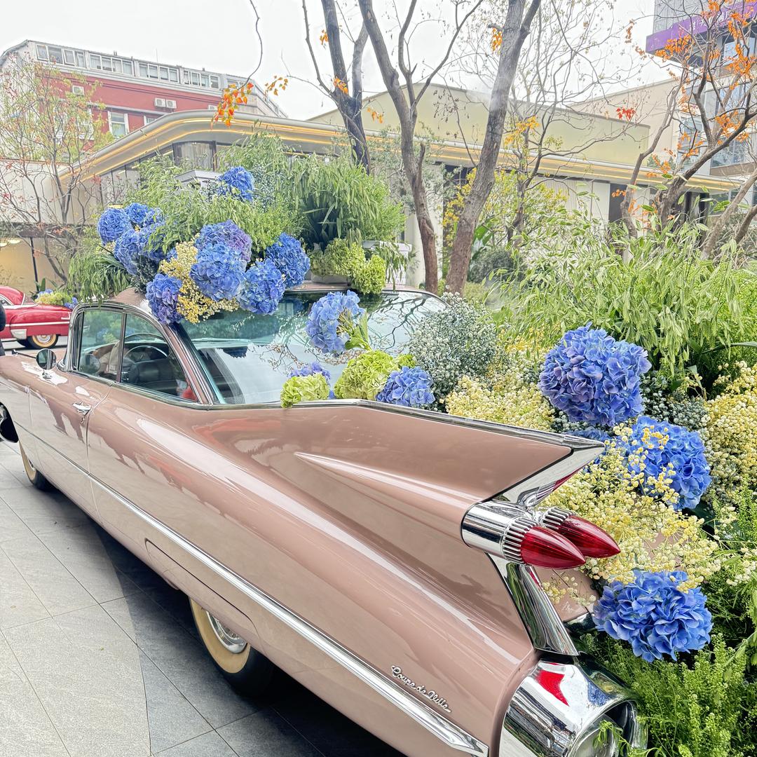 成都梦想之家.铭戈探盘