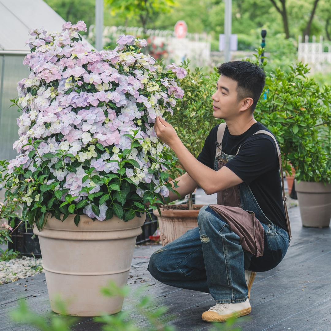 种花王大爷@抖音