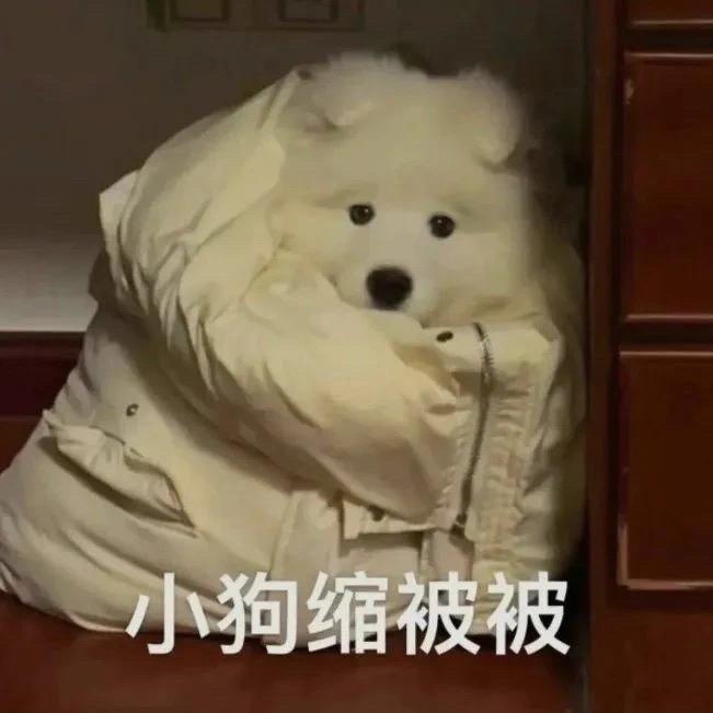 此时不问