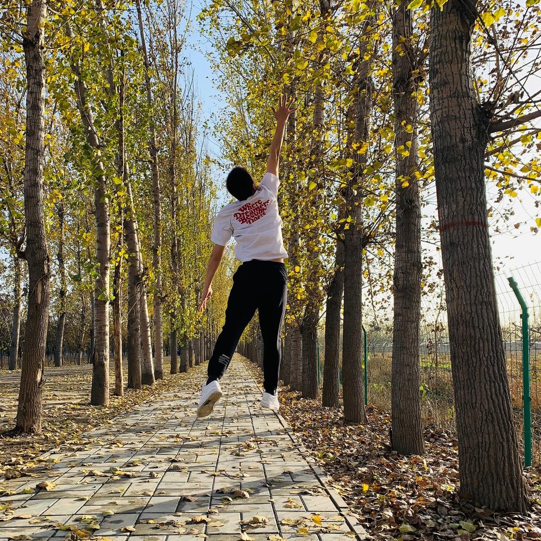 🌘月球当空照🌕