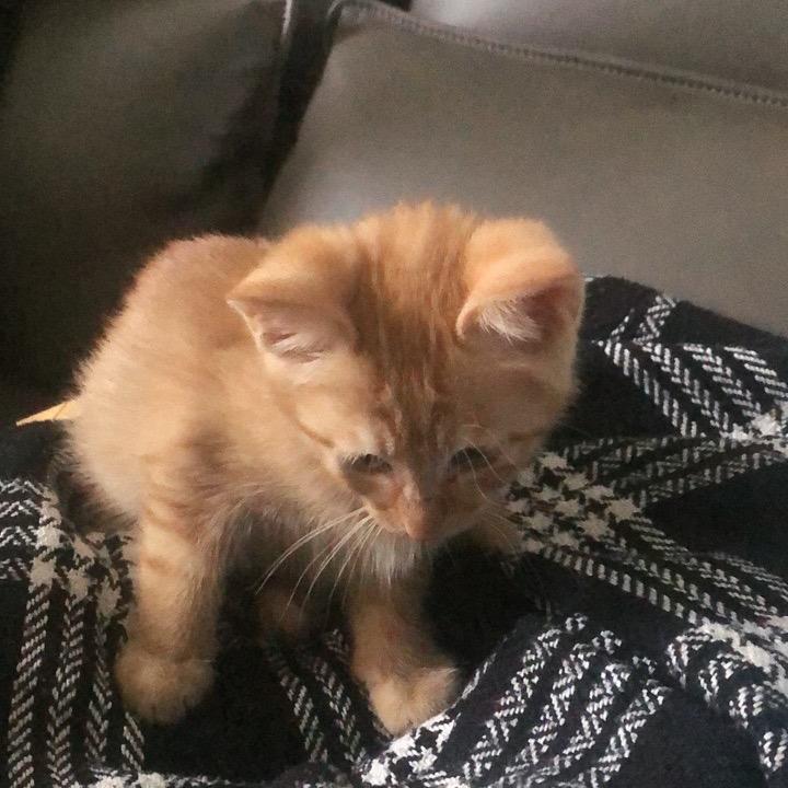 Zzzzhy