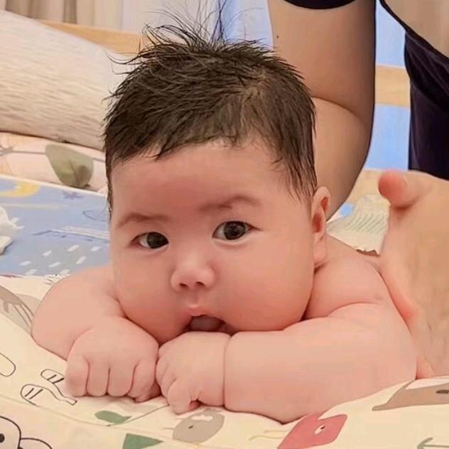 蔡姐的仔仔