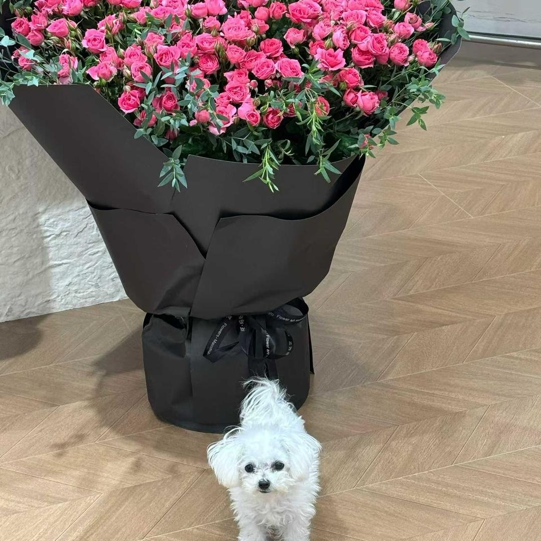 ᥫᩣ໌余生ᝰᩚ随💕