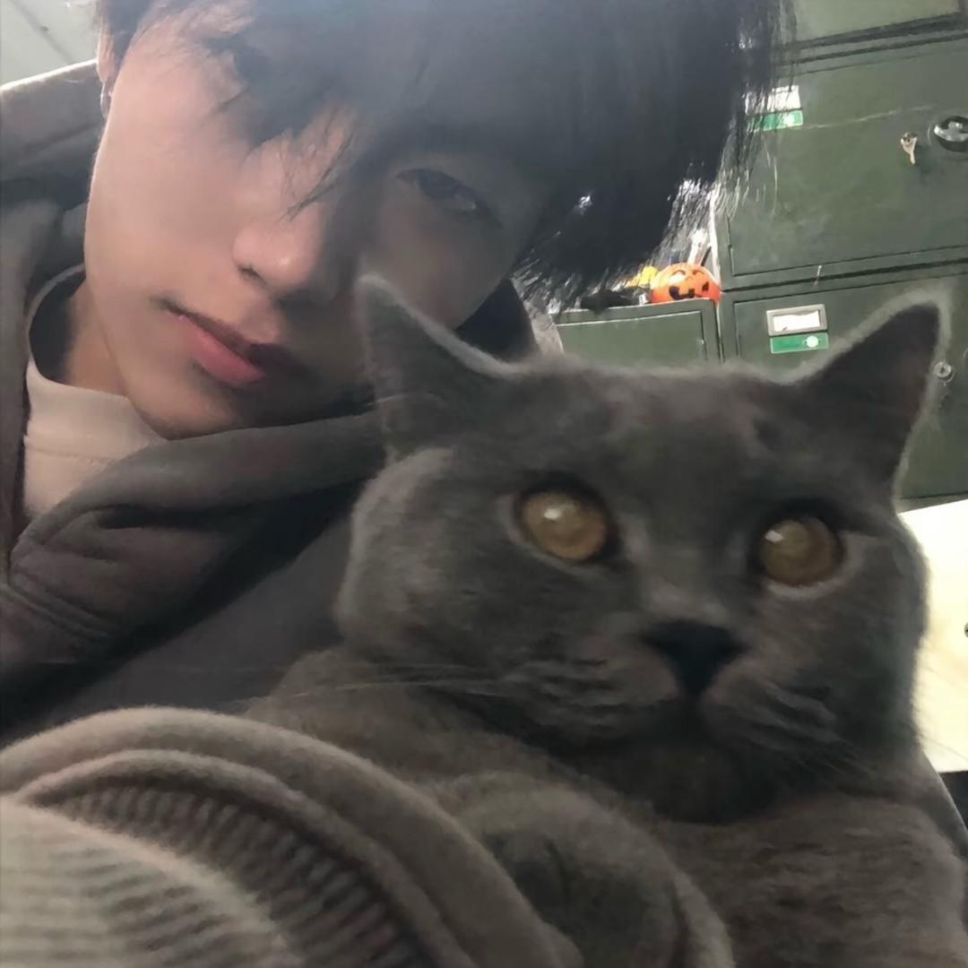 长春市粥粥汽车销售公司-大凯