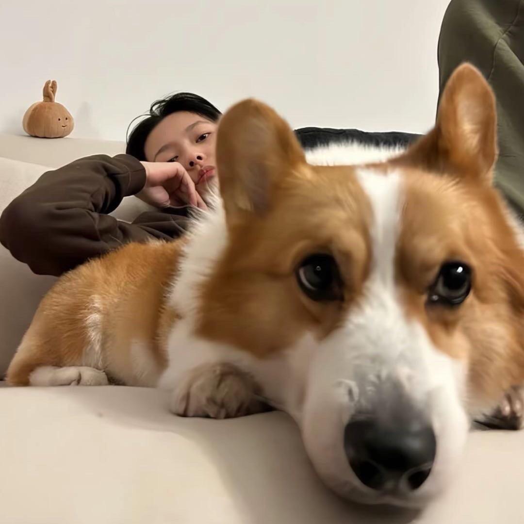 吴美丽