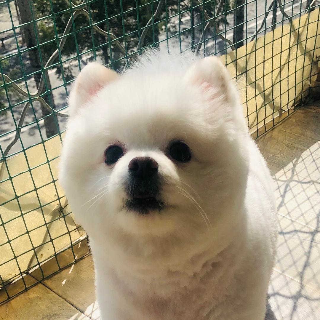 玥华公子头像