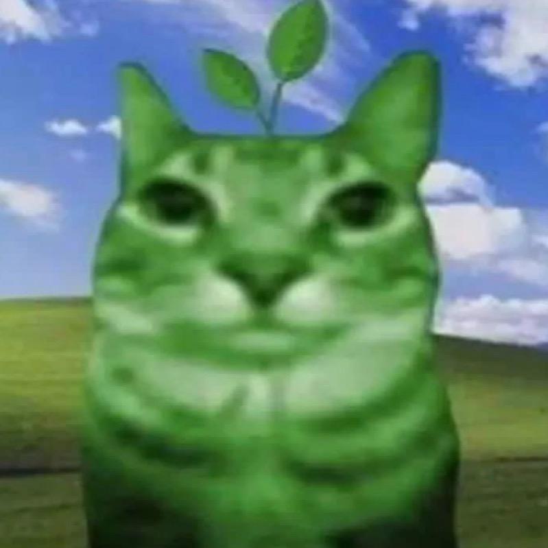 1ion