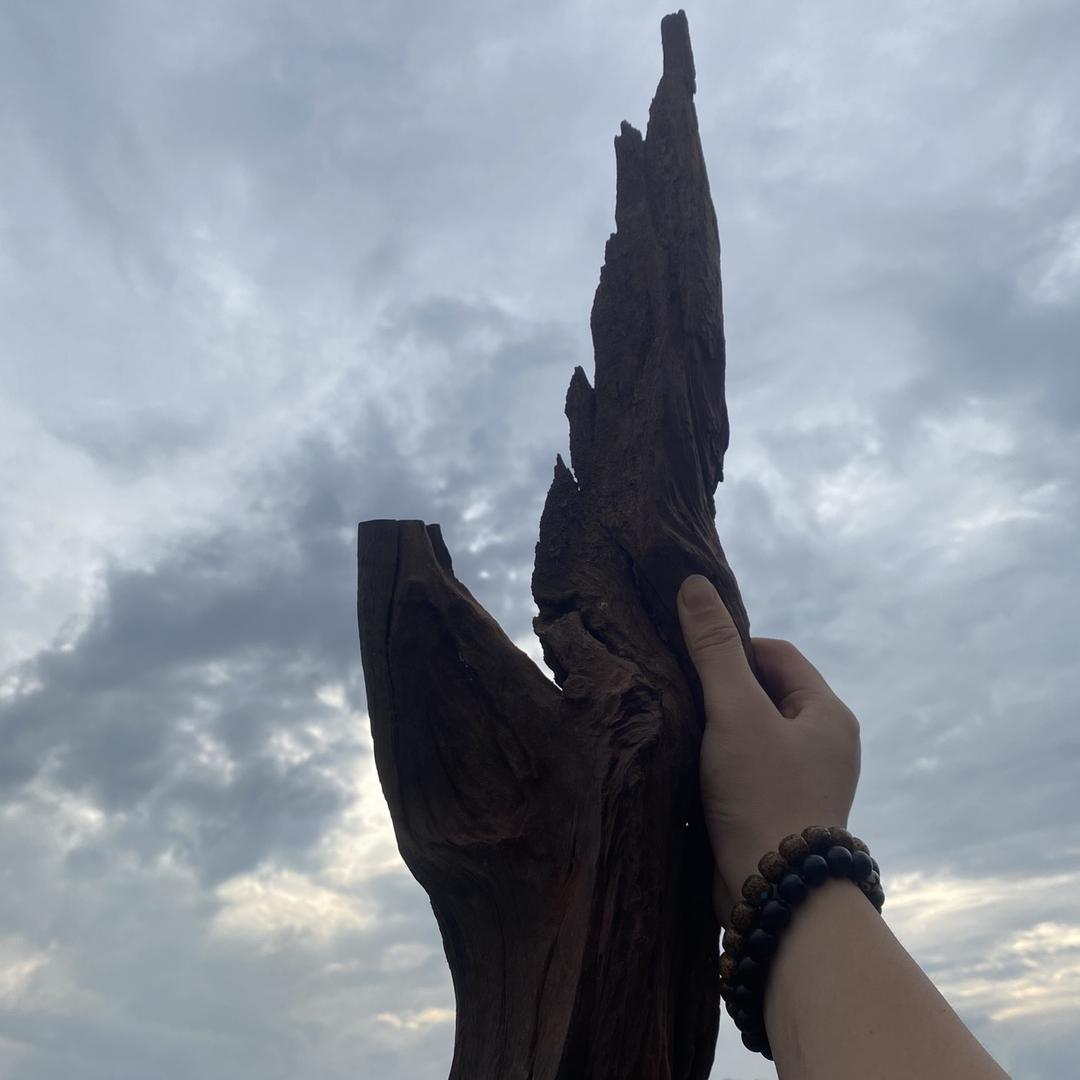 一玩红木