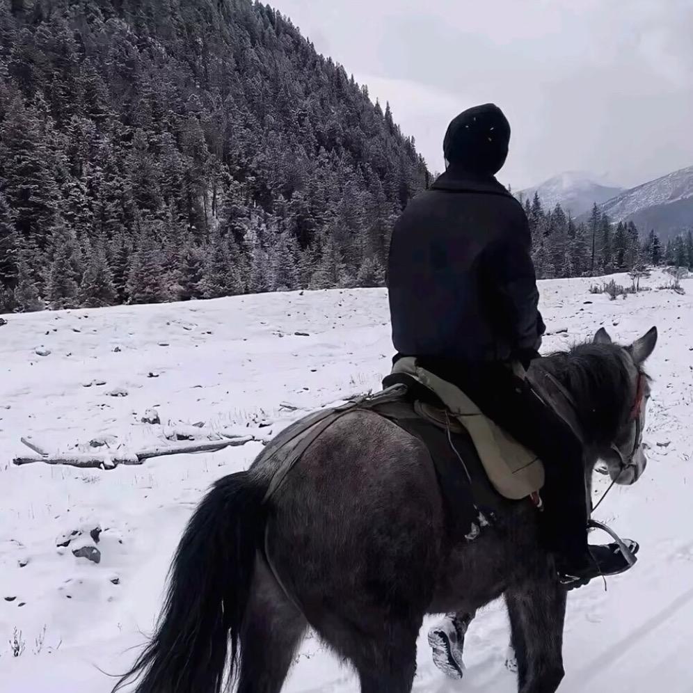 那晚没有安