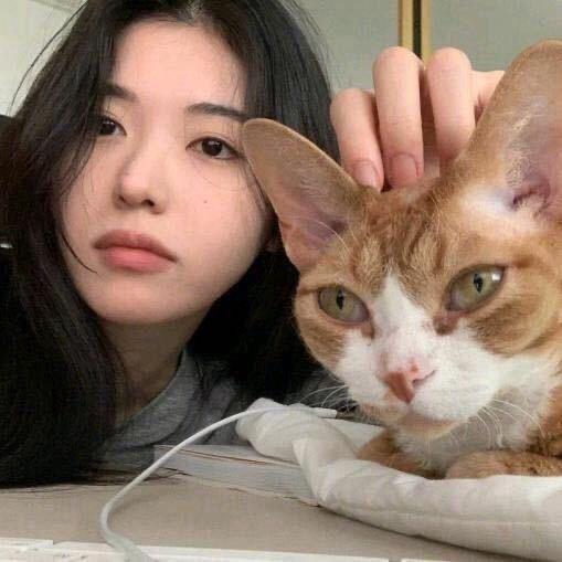 Lu凯月