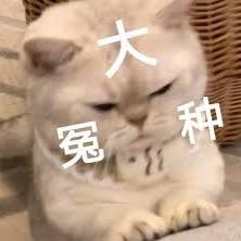 豆橛子抽嫩大腚