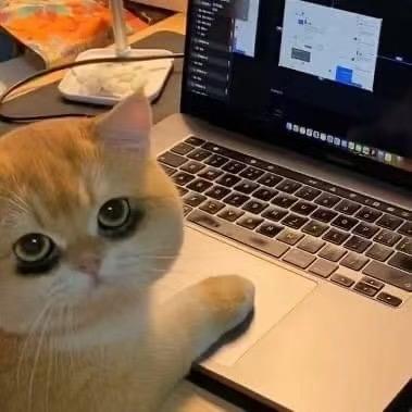 昆明言行设计师