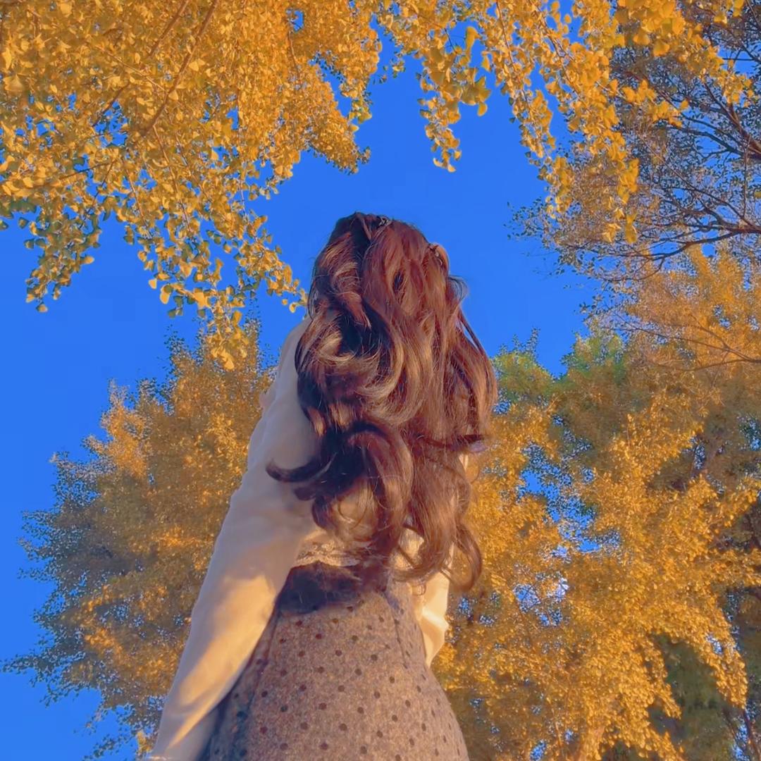 桃之夭夭 🌸
