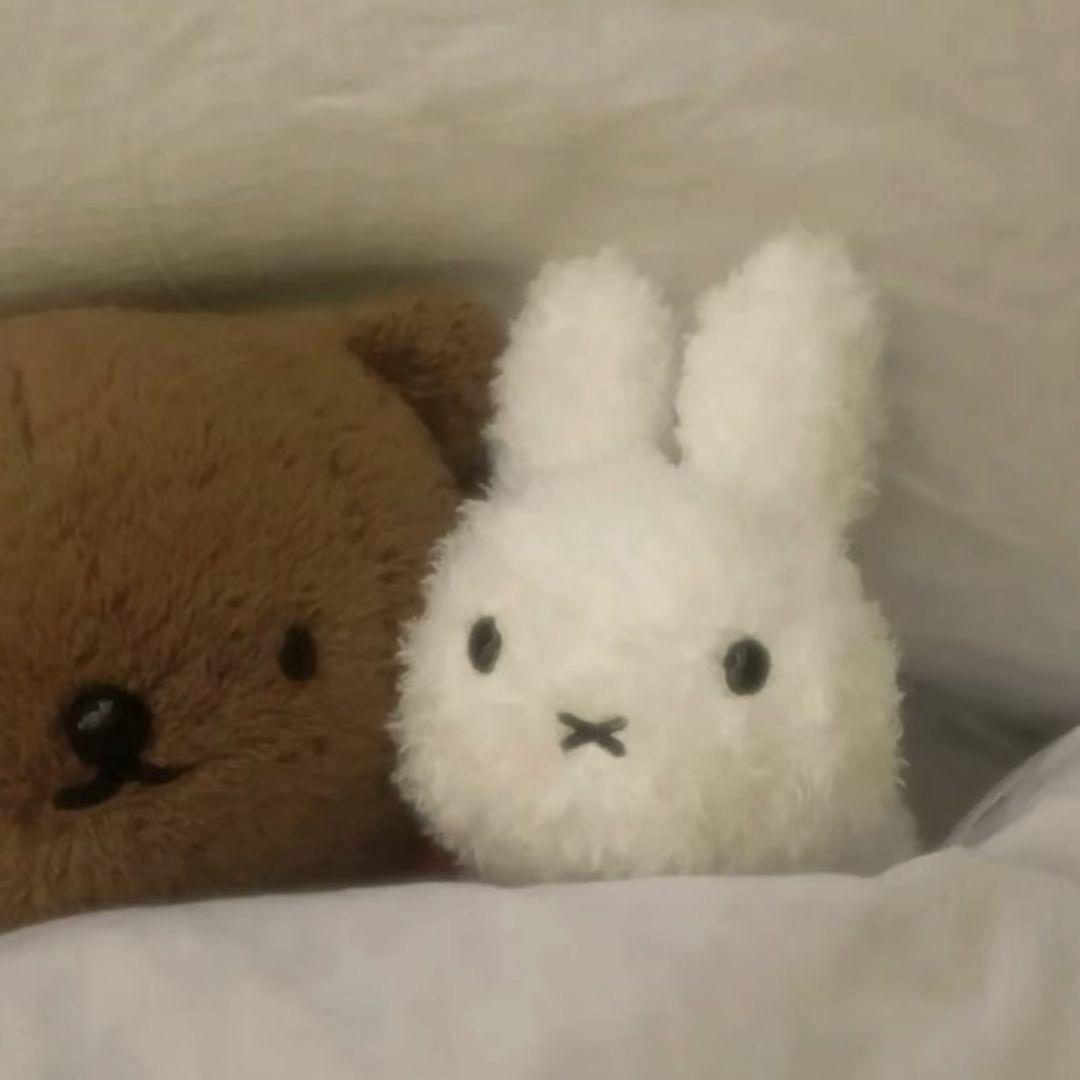 米斯卡慕斯卡米老鼠