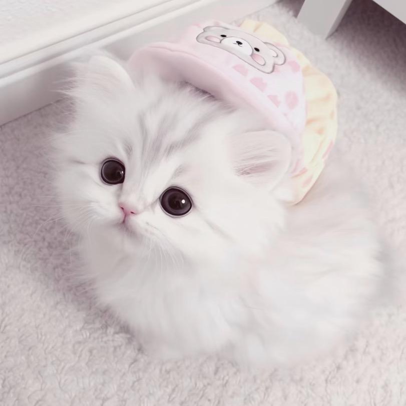 零碎.