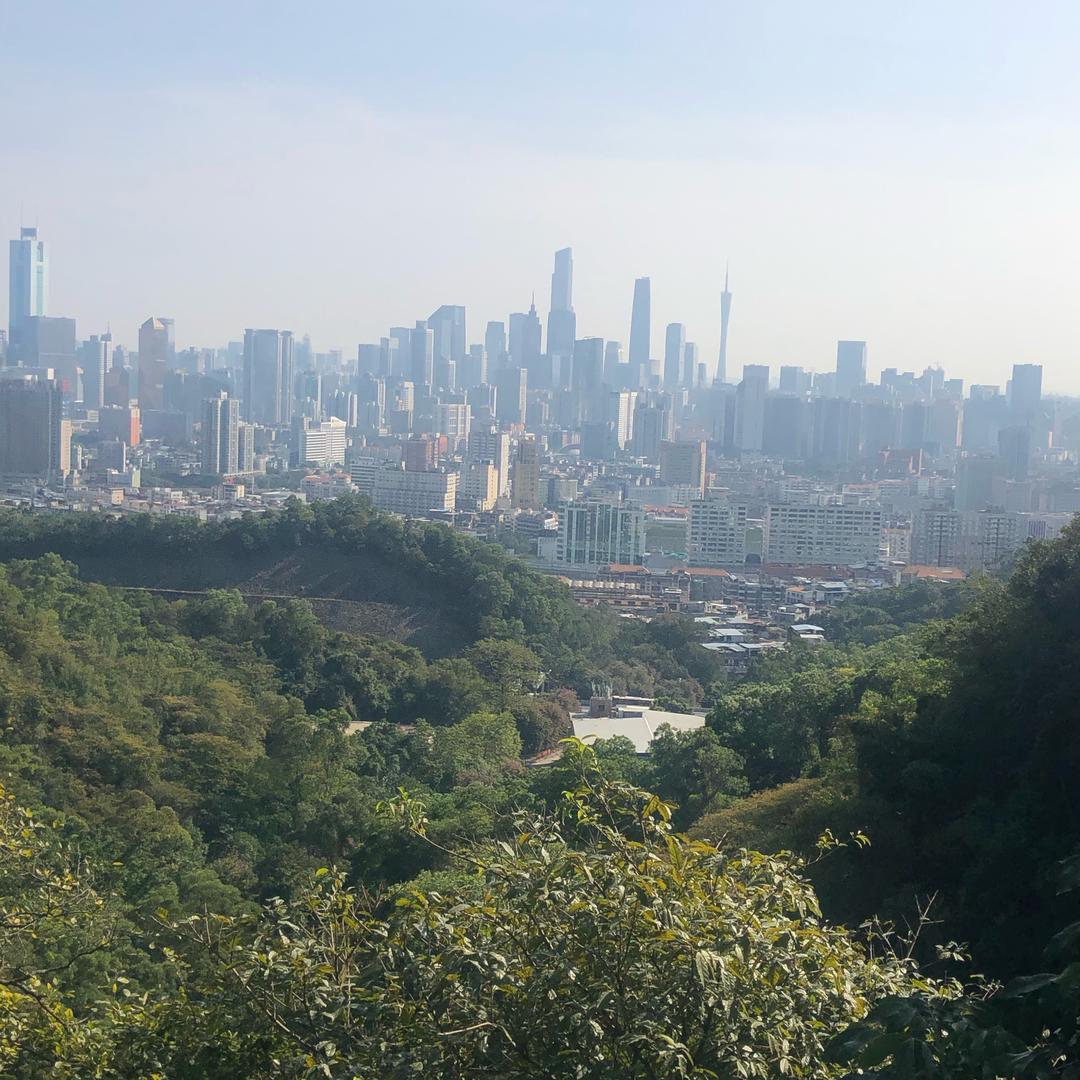 淡忘′诠释着一切