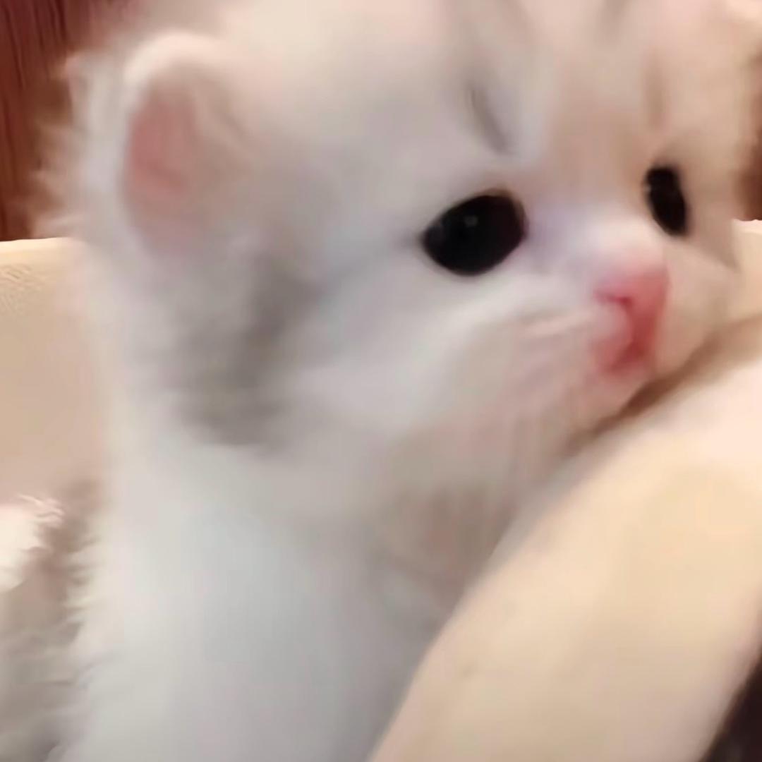 ice￴￴￴ ￴￴ ￴￴ ￴￴