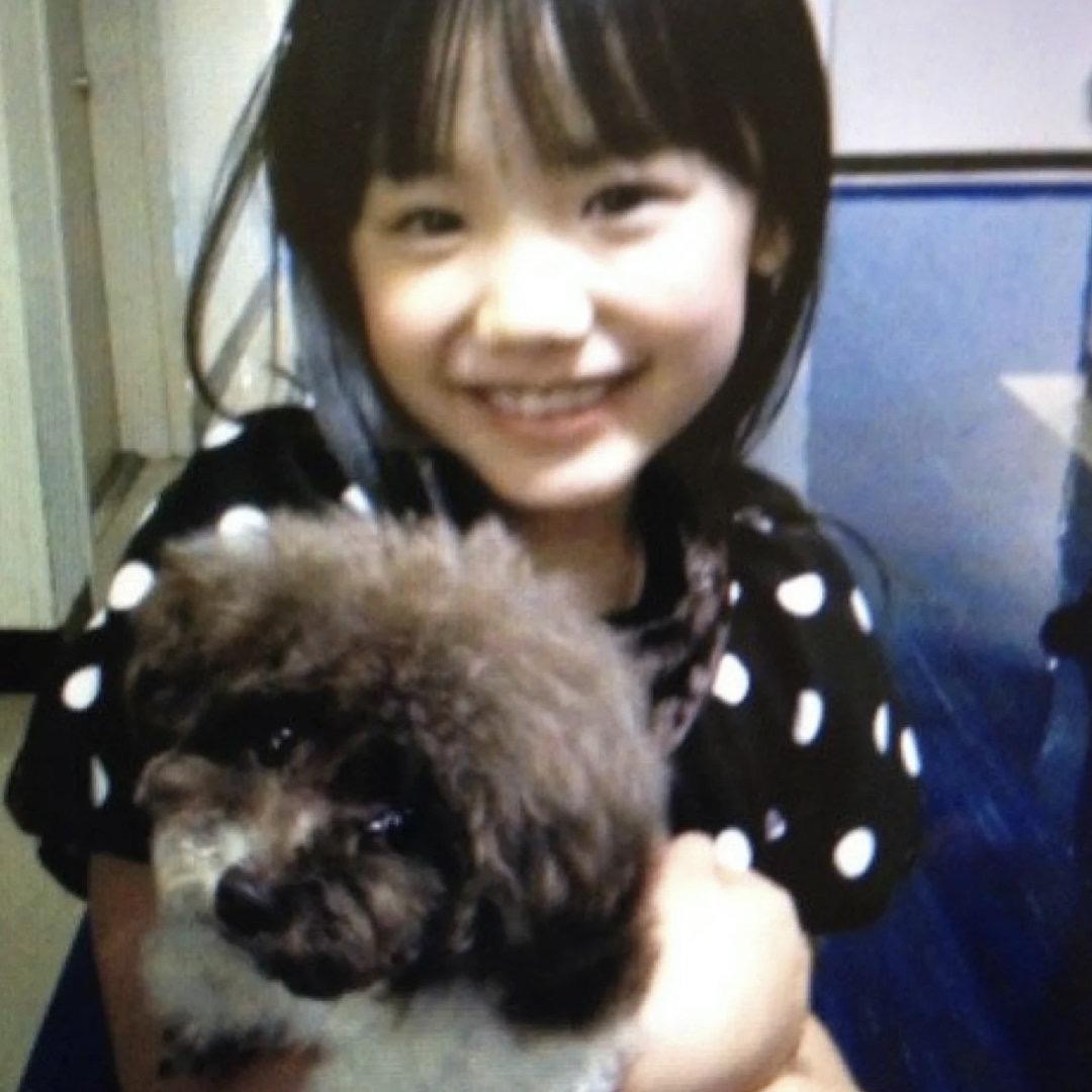 灿᳐灿没烦恼᳐੭