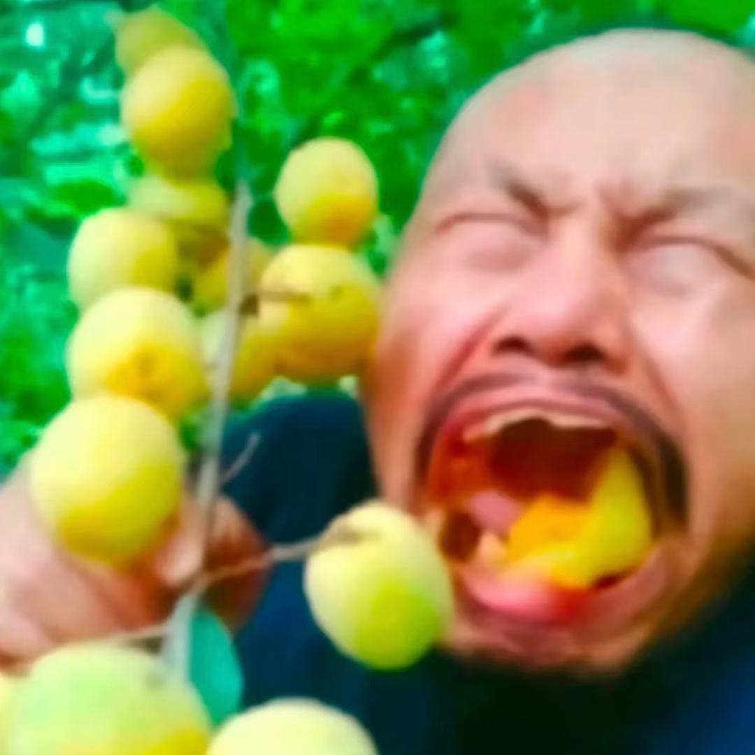 我回农村喂鸡了